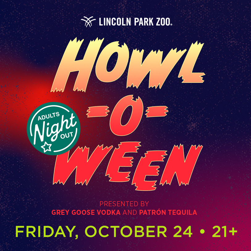 Andrew Bachelor King Bach Funny Vines King Bach In Chicago At Park