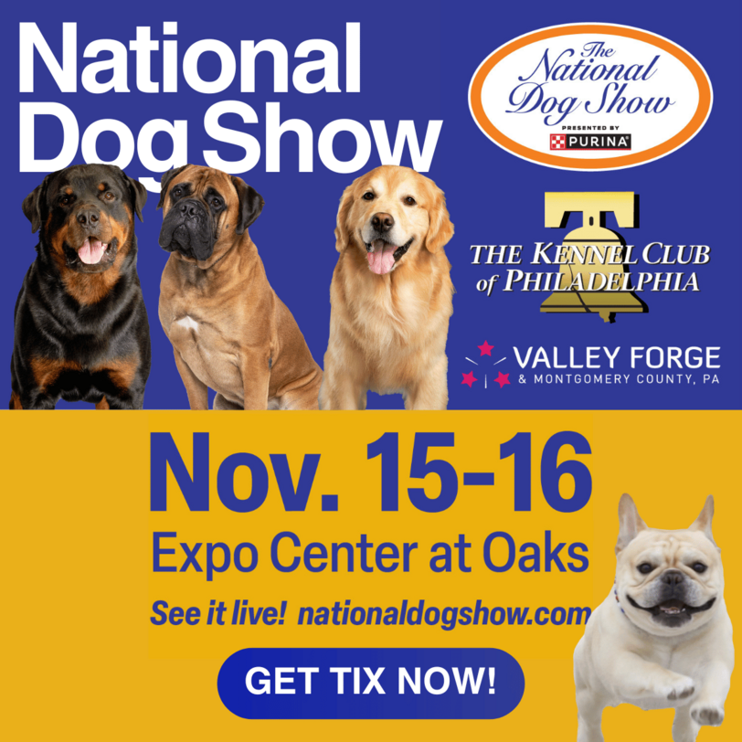 Matinee Dance Party in Philadelphia at Vinyl