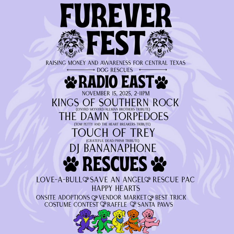 Pink Floyd | Concert in the Dark with Strings, Piano, and Clarinet