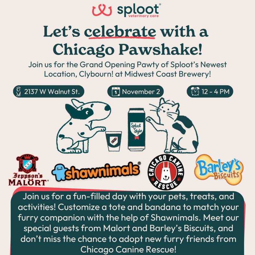 what-to-do-in-chicago-on-august-1st-2025